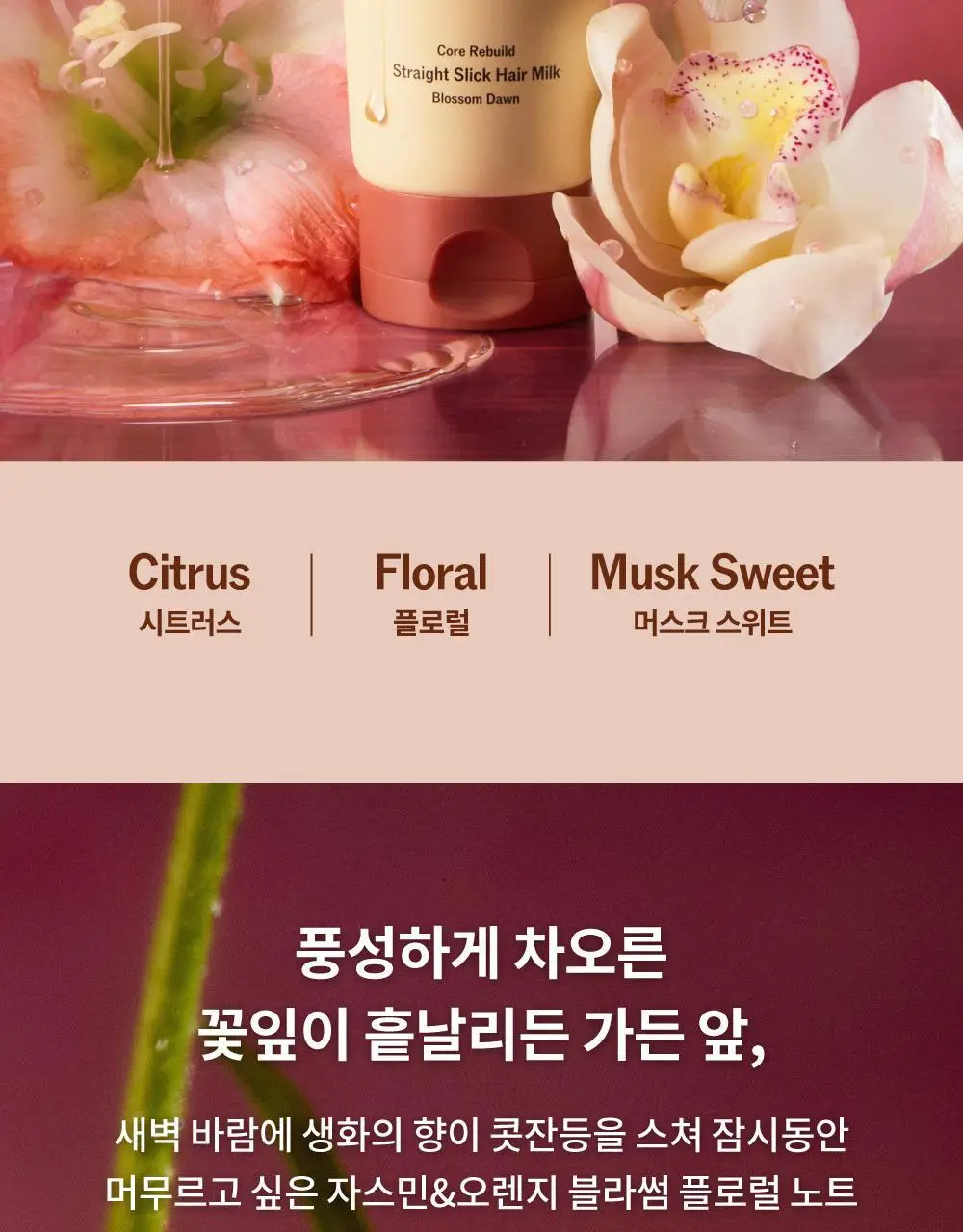 [반곱슬탈출] 나르카 스트레이트 슬릭 헤어 밀크 기획(+고데기 브러쉬 증정) (단품/기획) 상세페이지 61